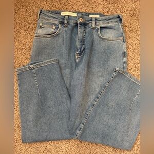 Pilcro and the Letterpress Anthropologie pleated taper Light Blue Relaxed Jeans